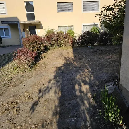 A Lovely House With A Garden Felsberg